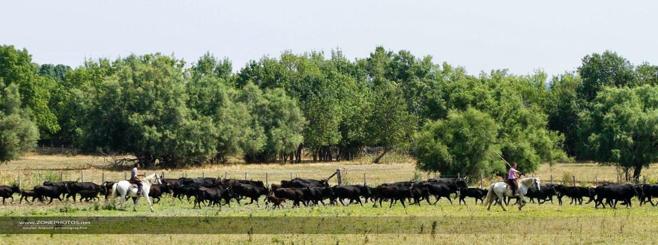 مبيت وإفطار Saint-Laurent-dʼAigouze Mas Du Grand Bordes المظهر الخارجي الصورة